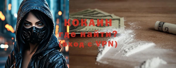 мдпв Краснослободск