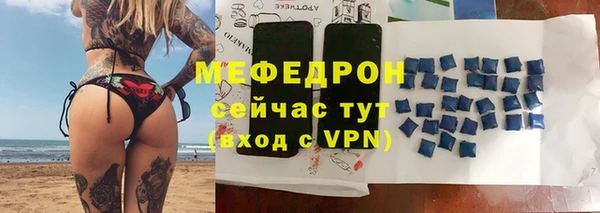 мдпв Краснослободск
