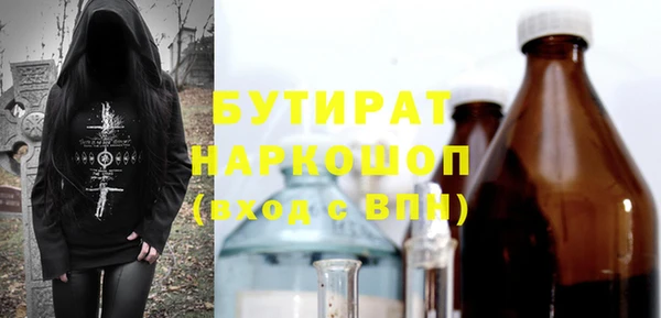 мдпв Краснослободск
