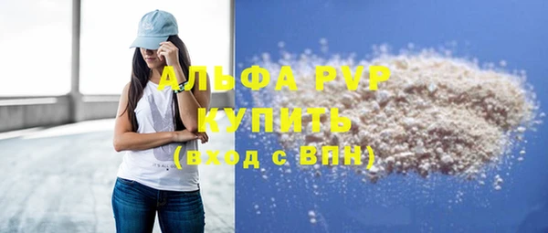 мдпв Краснослободск