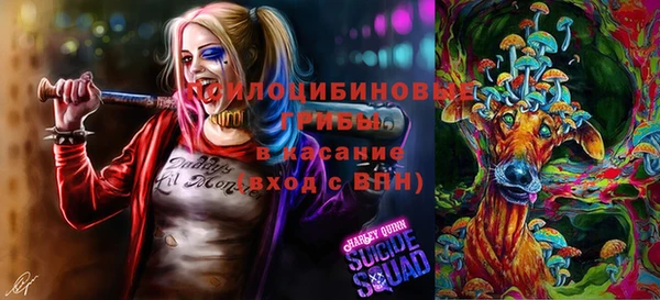 мдпв Краснослободск