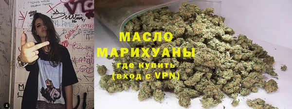 мдпв Краснослободск
