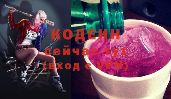 мдпв Краснослободск
