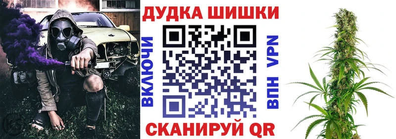 Шишки марихуана план  Новоаннинский 